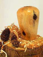 Wood art made from -
Monkey Puzzle Wood art made from -
Monkey Puzzle