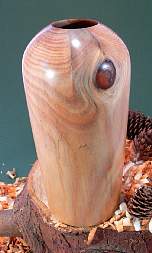 Wood art made from - 
      Monkey Puzzle
