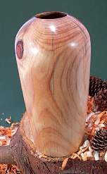 Wood art by Chris Rymer of Inside Out Wood Art made from - Monkey Puzzle
