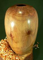 Wood art by Chris Rymer of Inside Out Wood Art made from - Monkey Puzzle